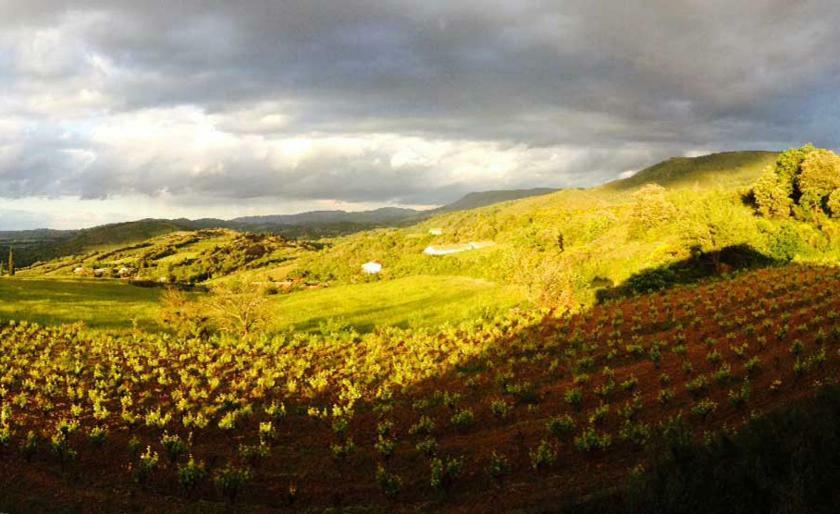 Gite Vigneron Du Domaine D'Alon Magrie Exterior photo