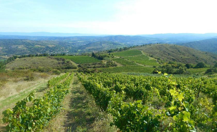 Gite Vigneron Du Domaine D'Alon Magrie Exterior photo