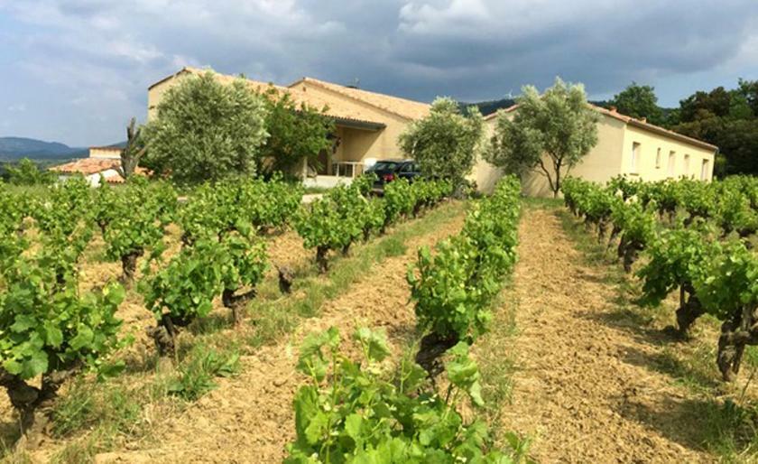 Gite Vigneron Du Domaine D'Alon Magrie Exterior photo