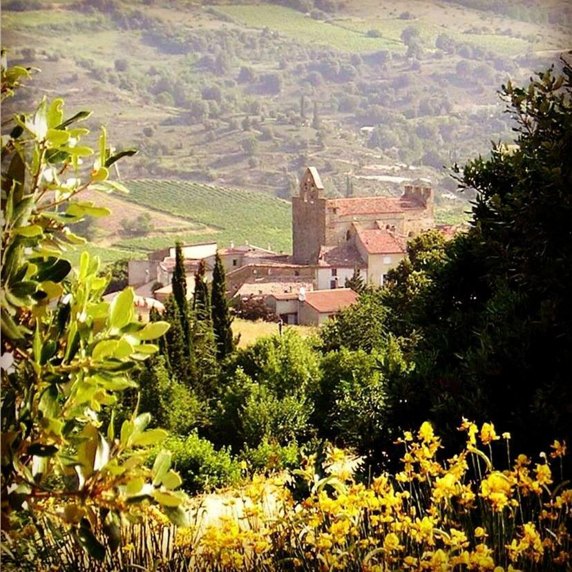 Gite Vigneron Du Domaine D'Alon Magrie Exterior photo
