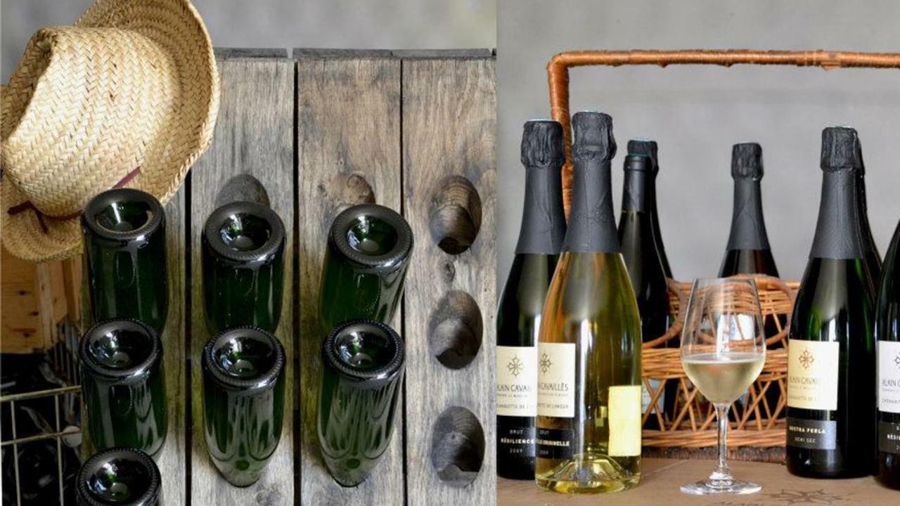 Gite Vigneron Du Domaine D'Alon Magrie Exterior photo