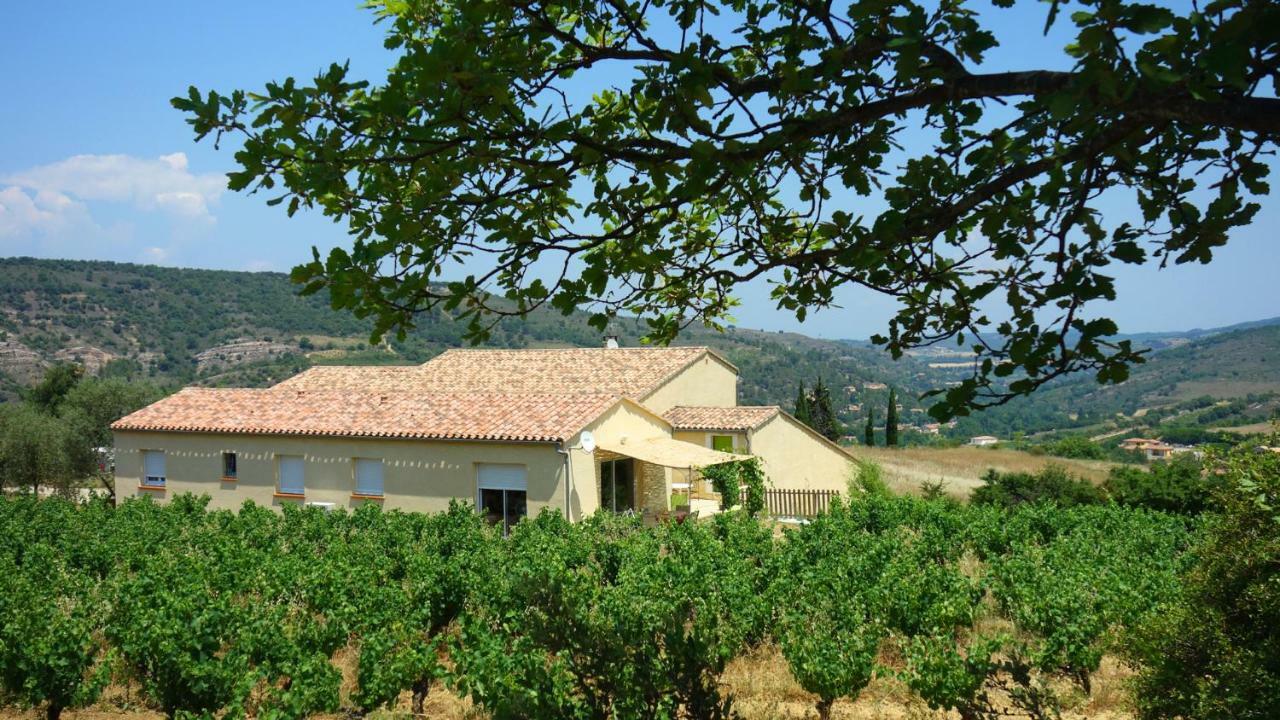 Gite Vigneron Du Domaine D'Alon Magrie Exterior photo