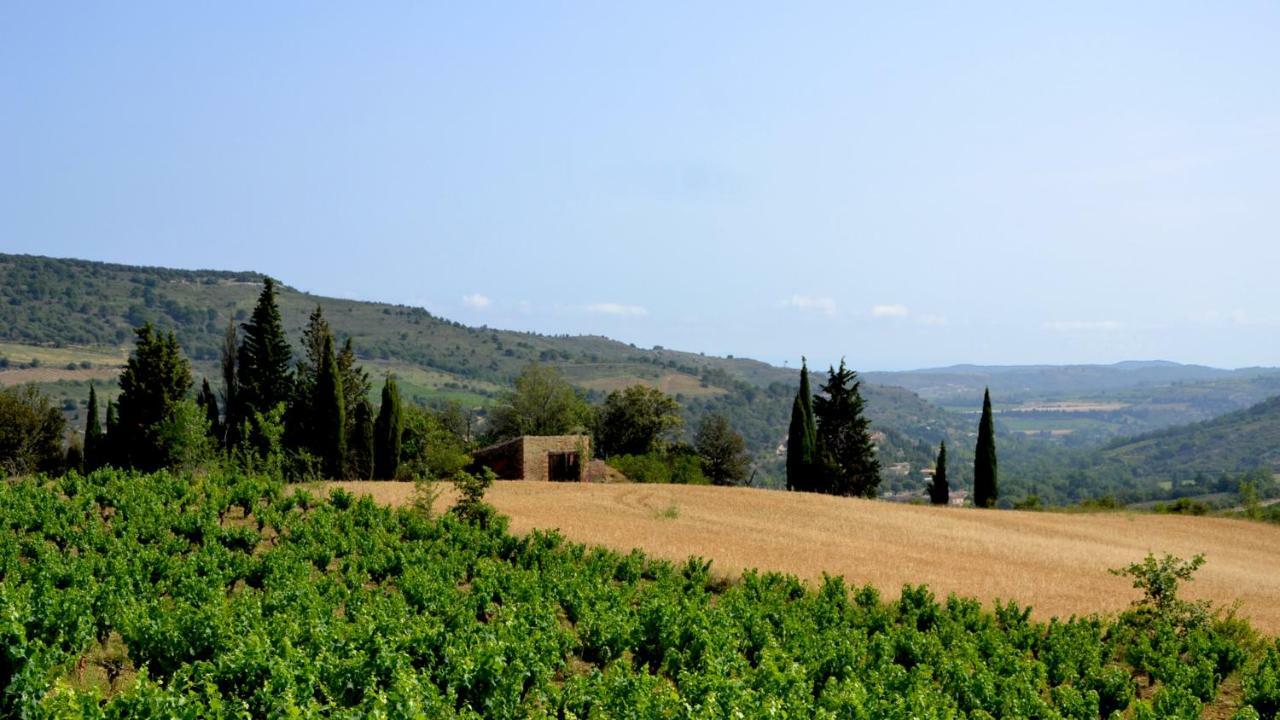 Gite Vigneron Du Domaine D'Alon Magrie Exterior photo