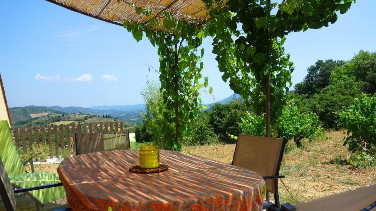 Gite Vigneron Du Domaine D'Alon Magrie Exterior photo