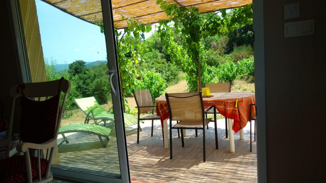 Gite Vigneron Du Domaine D'Alon Magrie Exterior photo